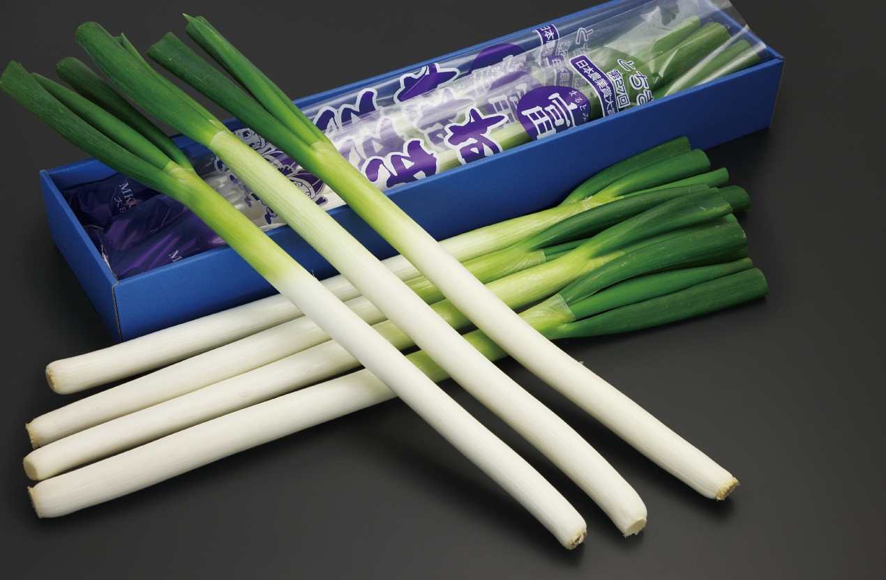 大田原ブランド「丸富ねぎ」